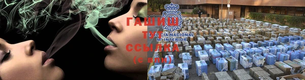 ГАЛЛЮЦИНОГЕННЫЕ ГРИБЫ Козловка