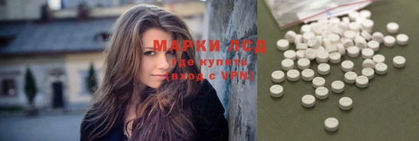 ГАЛЛЮЦИНОГЕННЫЕ ГРИБЫ Козловка