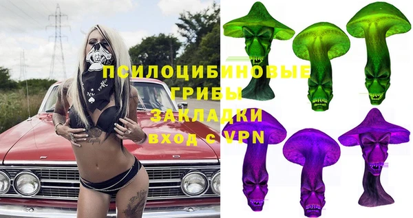 соль ск Киреевск