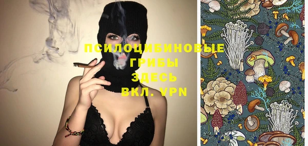 a pvp Кодинск