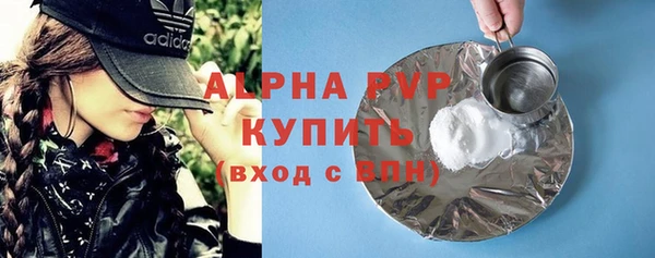 ГАЛЛЮЦИНОГЕННЫЕ ГРИБЫ Козловка