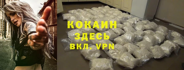 ГАЛЛЮЦИНОГЕННЫЕ ГРИБЫ Козловка