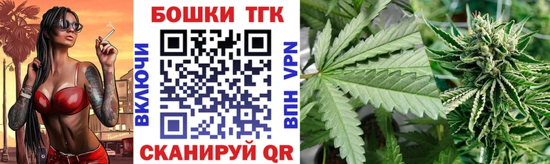 Купить закладки  Красноармейск  Бошки Шишки SATIVA & INDICA 